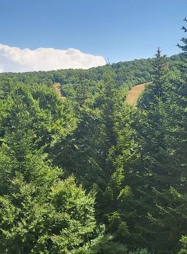 Basques * لاغيول